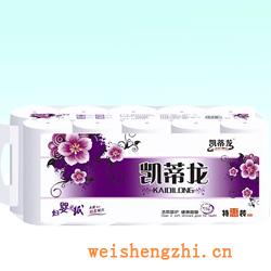 衛(wèi)生紙|生活用紙|保定衛(wèi)生紙廠|凱蒂龍-024