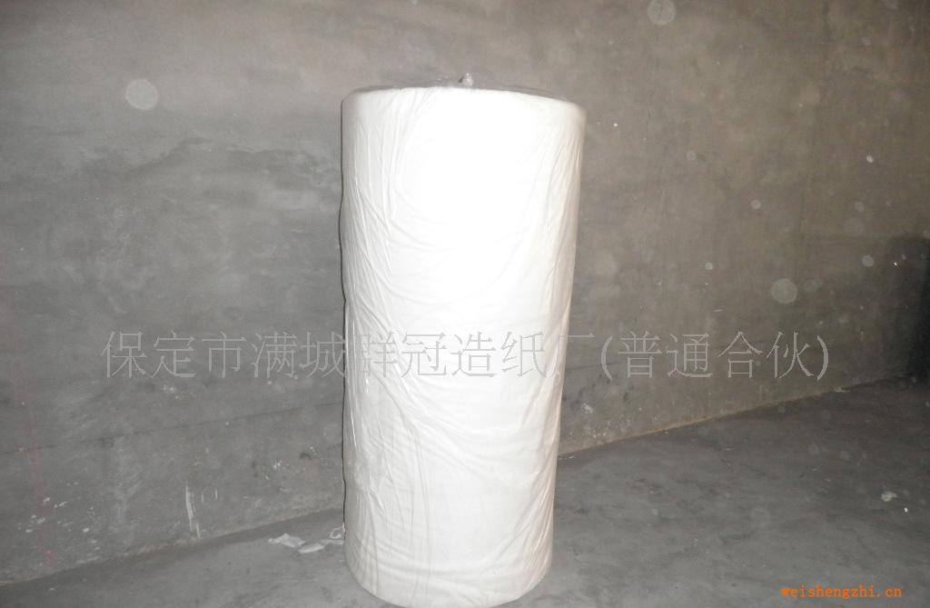 廠家供應純木漿生活用紙衛(wèi)生紙大軸