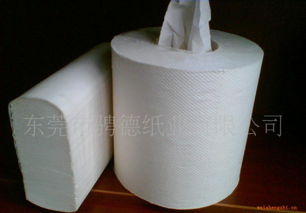 廠家供應(yīng)中間抽取式擦手紙、擦手紙、衛(wèi)生紙、紙制品、紙巾