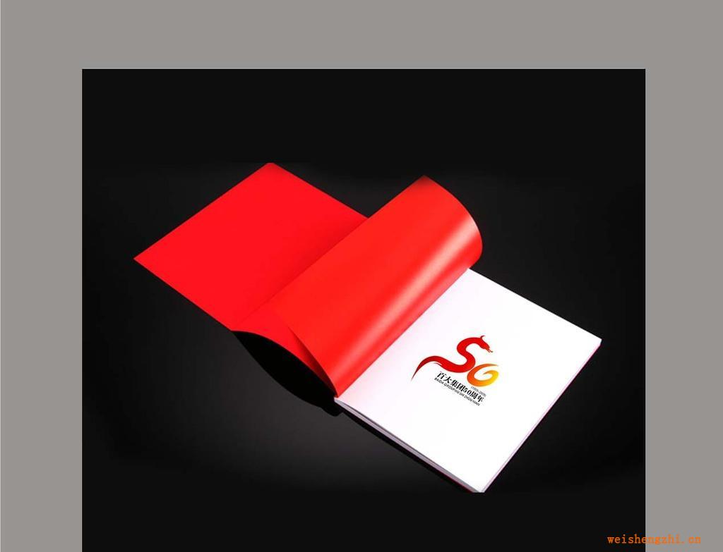 藍(lán)咖品牌設(shè)計(jì)提供企業(yè)畫(huà)冊(cè)設(shè)計(jì)服務(wù)