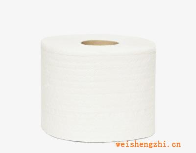 批量直銷供應(yīng)13-50克木漿輥筒紙衛(wèi)生紙量大優(yōu)惠