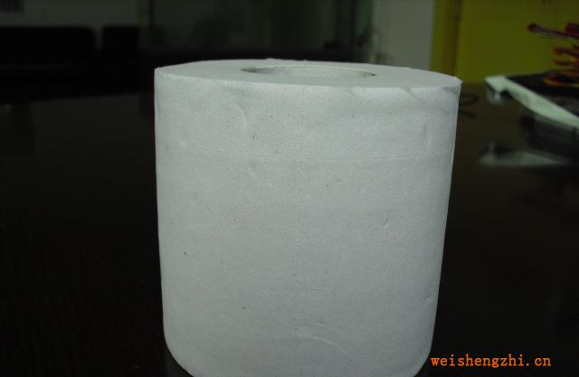 【廠家直銷】供應(yīng)2層出口環(huán)保衛(wèi)生紙