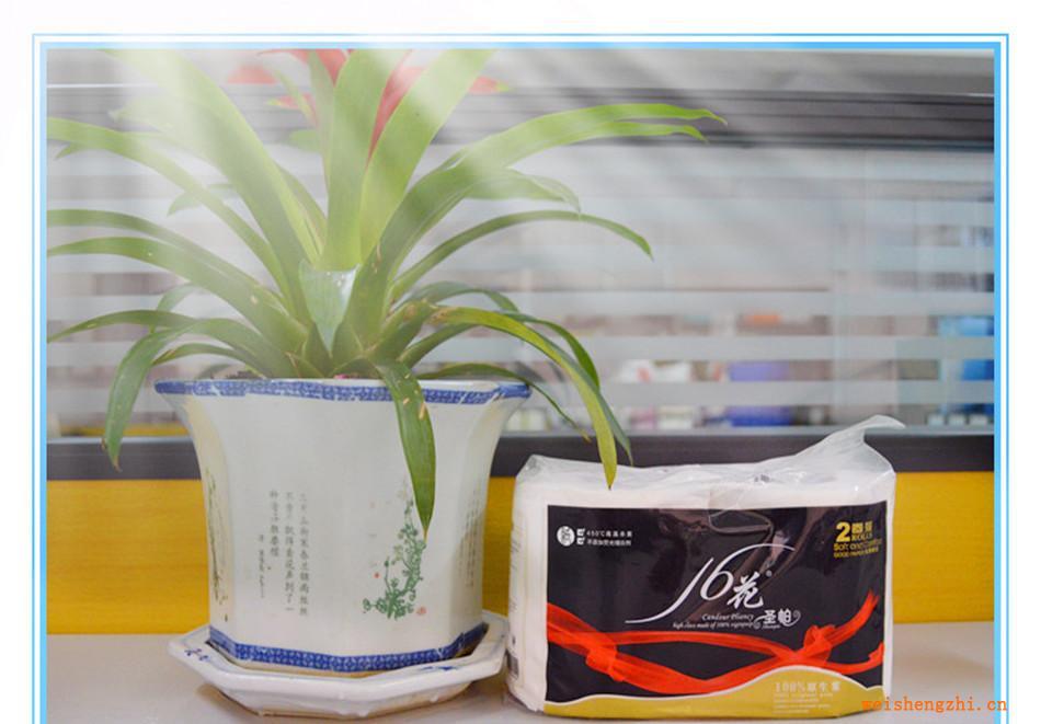 【廠家供應(yīng)】出口衛(wèi)生紙高擋卷筒2卷裝120g100%木漿制造