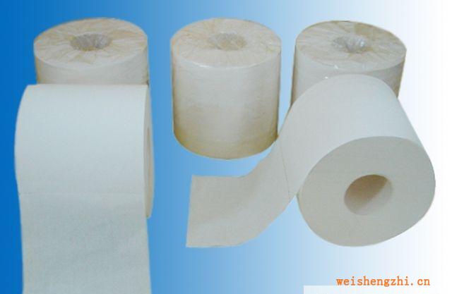 實(shí)惠木漿再生漿小卷筒衛(wèi)生紙價(jià)廉物美生活用紙廁所紙